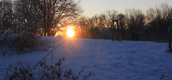 Sonnenaufgang vor dem Ferienhaus